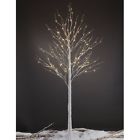 564765 Lightshare Lit Birch Tree 816192015322 564765 Lightshare Lit Birch Tree 816192015322