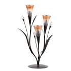 849179016784 Poohtawan Dawn Lily Triple 849179016784 Poohtawan Dawn Lily Triple