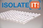 9800020-484 Isolate It Small Clear 817532011462 9800020-484 Isolate It Small Clear 817532011462