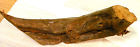 2812 Burl Ancient Kauri Stock Root