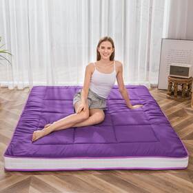 T7wsdwn-gdbsy4icastd8mu7mbs Cosmogo 786402929919 Padded Japanese Roll Up Floor Futon Mattress Czgo T7wsdwn-gdbsy4icastd8mu7mbs Cosmogo 786402929919 Padded Japanese Roll Up Floor Futon Mattress Czgo