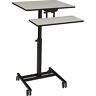 Edtc National Public Seating Sit Stand Students Desk 604747989231 Edtc National Public Seating Sit Stand Students Desk 604747989231