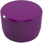 F012eec-pu-10 Formufit Pvc External End 812039021426 F012eec-pu-10 Formufit Pvc External End 812039021426