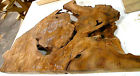 3062 Great Figure Slab. Kauri Form Burl Ancient Free 3062 Great Figure Slab. Kauri Form Burl Ancient Free