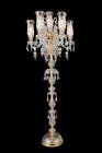 Lt-fl902-7gld Aico Lighting Garnier Light Floor Lamp In Clear And Gold Lt-fl902-7gld Aico Lighting Garnier Light Floor Lamp In Clear And Gold