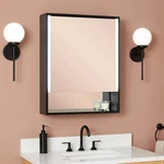 Signature Hardware Larchview Single Door Aluminum Framed Lightedmedicine Cabinet. Fixed Price $310.00.