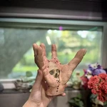 Gothic Hand Skull Prop With Realistic Design Fits Halloween Table Decoration Use. Fixed Price $38.86.