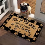 2D Pet Floor Mat For Entryway Bathroom Kitchen Living Office Decor. Fixed Price $24.59.