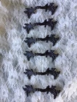 French Provincial Ornate Leaf Design Pre-owned Drawer Handles Set Of Six. Fixed Price $85.00.