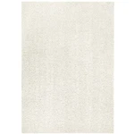 Mainstays Traditional Solid Ivory Shag Indoor Area Rug, 5' X 7'. Fixed Price $29.87.