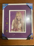 Hannah Montana Corkboard Wall Art With 4 Push Pins Disney Channel. Fixed Price $45.00.