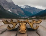 Moose Head Wine Rack Lodge Cabin Man Cave Bar Decor Metal Antlers Rustic. Fixed Price $129.99.