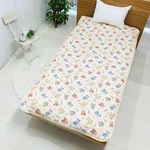 Moripilo Morishita Pokemon Pikachu Bed Pad Single Futon Mattress New Japan. Fixed Price $103.38.