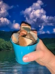 Bucket Full Of Desert Jasper Rough + Free Faceted Gemstone - Pick Color. Fixed Price $18.69.