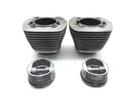 Front Rear Cylinder Jugs W Pistons 2002 Harleysoftail Standard Efi Fxsti 3245. Fixed Price $101.64.