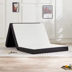 Tri-fold Memory Foam Mattress Portable Foldable Topper W/washable Cover. Fixed Price $90.87.