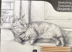 Rare Reeves Sketching By Numbers Cat Kit PPSK9. Fixed Price $23.99.