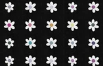 Floral Multicolor Area Rug Black Rectangle 5 X 7 In For Kids Bedroom Classroom. Fixed Price $75.00.