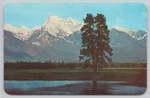 Martin City Montana, Mount Harding Scenic View, Vintage Postcard. Fixed Price $7.99.