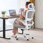 Office Ergonomic Desk Chair, 330 Lbs Home Mesh Chairs With Whe. Fixed Price $252.99.