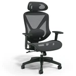 Staples Dexley Ergonomic Mesh Task Chair Black Adjustable Office Freeship. Fixed Price $80.00.