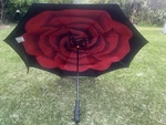 Better Wind-proof Reverse Open Upside Down Umbrella Black / Red Rose. Fixed Price $50.00.