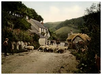 England. Awaiting The Shepherd. Vintage Photochrom By P.z, Zurich. Fixed Price $138.08.