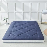 Heimorn Japanese Foldable Portable Roll-up Camping Mattress Blue Twin. Fixed Price $155.28.
