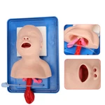 Infant Intubation Trainer Pediatric Manikin Tracheal Child Airway. Fixed Price $73.95.