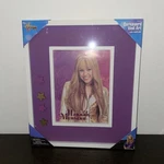 Hannah Montana Corkboard Wall Art With 4 Push Pins Disney Channel. Fixed Price $39.89.