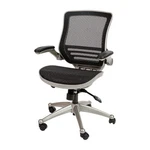 Flash Furniture Executive Office Chairs, Black Mesh/graphite Silver Frame. Fixed Price $199.11.