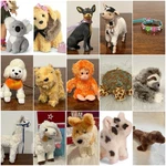 American Girl Pet Dog Cat Llama Turtle Sloth Sea Lion Koala Goat Piglet Reindeer. Fixed Price $32.00.