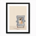 Cute Muddy Frenchie On Chair Art Framed Wall Poster Canvas Print Picture. Fixed Price $46.51.